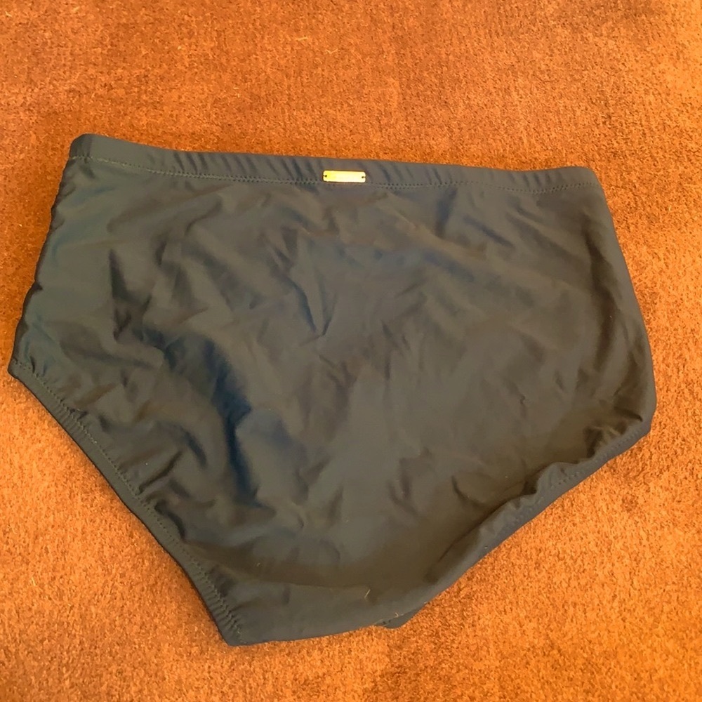 Raisins curve high waisted bikini bottoms